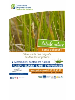 Balade nature